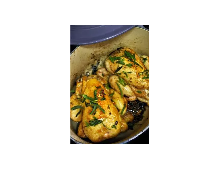 POULET TENDRE , SAUCE CRéMEUSE AU CHAMPIGNONS & ESTRAGON, MACARONI.