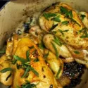 POULET TENDRE , SAUCE CRÉMEUSE AU CHAMPIGNONS & ESTRAGON, MACARONI.